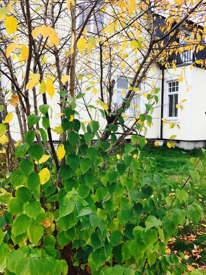 Parkgatan Villa Krylbo Ngoại thất bức ảnh